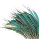 Natural Peacock Feathers - (Pack of 10)